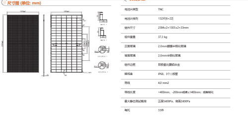 N-type half-cell Double Glass Module 166 Version